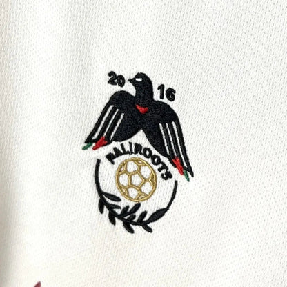 Maillot Palestine Concept